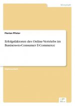 Erfolgsfaktoren des Online-Vertriebs im Business-to-Consumer E-Commerce