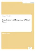 Organization and Management of Virtual Teams