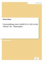 Umwandlung einer GmbH & Co. KG in die kleine AG - Masterplan