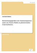 Bestimmungsgroessen des Emissionspreises eines am Neuen Markt zu platzierenden Unternehmens