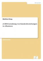 eCRM-Gestaltung von Kundenbeziehungen in eBusiness