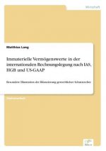 Immaterielle Vermoegenswerte in der internationalen Rechnungslegung nach IAS, HGB und US-GAAP