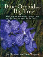 Blue Orchid and Big Tree