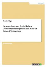 Untersuchung des Betrieblichen Gesundheitsmanagement von KMU in Baden-Wurttemberg