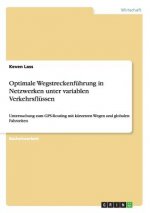 Optimale Wegstreckenfuhrung in Netzwerken unter variablen Verkehrsflussen