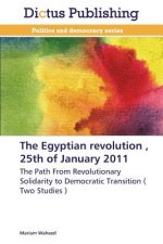 Egyptian Revolution, 25th of January 2011