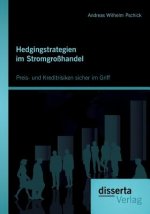 Hedgingstrategien im Stromgrosshandel