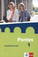 Pontes 1