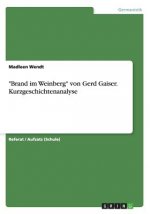 Brand im Weinberg von Gerd Gaiser. Kurzgeschichtenanalyse