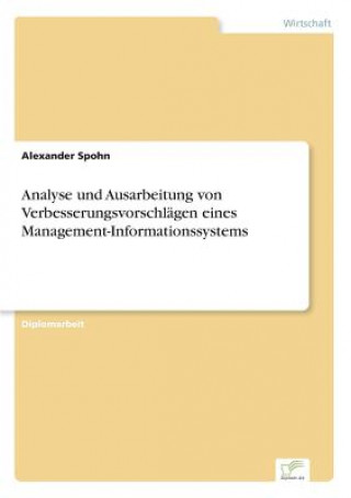 Analyse und Ausarbeitung von Verbesserungsvorschlagen eines Management-Informationssystems