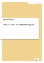 Sozialer Schutz in der Selbstandigkeit