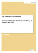Untersuchung zur Parameterschatzung in SETAR-Modellen