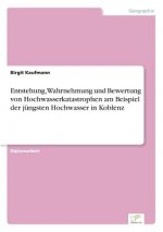 Entstehung, Wahrnehmung und Bewertung von Hochwasserkatastrophen am Beispiel der jungsten Hochwasser in Koblenz