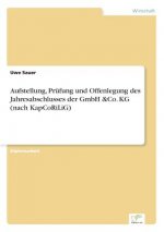 Aufstellung, Prufung und Offenlegung des Jahresabschlusses der GmbH &Co. KG (nach KapCoRiLiG)