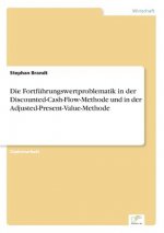 Fortfuhrungswertproblematik in der Discounted-Cash-Flow-Methode und in der Adjusted-Present-Value-Methode