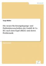 neuen Rechnungslegungs- und Publizitatsvorschriften der GmbH & Co. KG nach dem KapCoRiLiG und deren Problematik