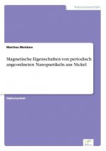 Magnetische Eigenschaften von periodisch angeordneten Nanopartikeln aus Nickel