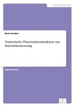 Numerische Phasenrekonstruktion aus Intensitatsmessung