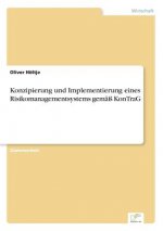 Konzipierung und Implementierung eines Risikomanagementsystems gemass KonTraG