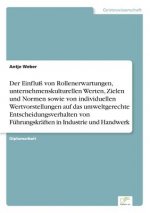 Einfluss von Rollenerwartungen, unternehmenskulturellen Werten, Zielen und Normen sowie von individuellen Wertvorstellungen auf das umweltgerechte Ent