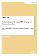 Informationssysteme zur Foerderung von Kleinunternehmen