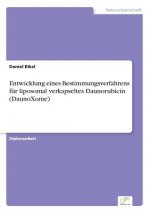 Entwicklung eines Bestimmungsverfahrens fur liposomal verkapseltes Daunorubicin (DaunoXome)