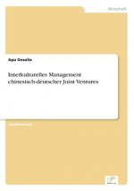 Interkulturelles Management chinesisch-deutscher Joint Ventures