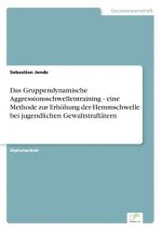 Gruppendynamische Aggressionsschwellentraining - eine Methode zurErhoehung der Hemmschwelle bei jugendlichen Gewaltstraftatern