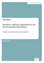 Mannliche turkische Jugendliche in der Bundesrepublik Deutschland