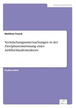 Vermischungsuntersuchungen in der Zweiphasenstroemung eines Airliftschlaufenreaktors