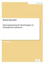 Interorganisationale Beziehungen in Strategischen Allianzen