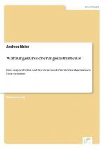 Wahrungskurssicherungsinstrumente