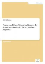 Finanz- und OEkoeffizienz im Kontext der Transformation in der Tschechischen Republik
