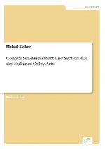 Control Self-Assessment und Section 404 des Sarbanes-Oxley Acts
