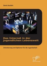 Internet in der jugendlichen Lebenswelt