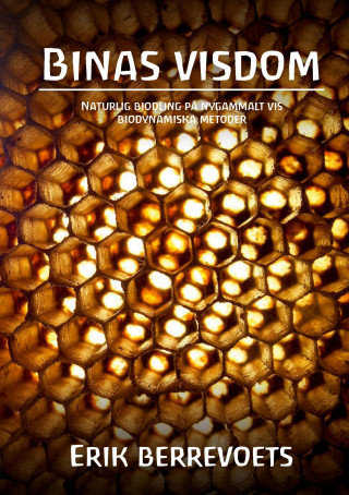 Binas Visdom
