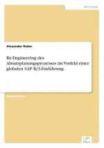 Re-Engineering des Absatzplanungsprozesses im Vorfeld einer globalen SAP R/3-Einfuhrung