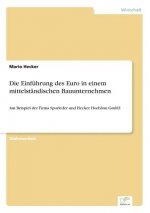 Einfuhrung des Euro in einem mittelstandischen Bauunternehmen