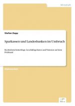 Sparkassen und Landesbanken im Umbruch