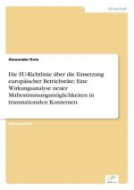 EU-Richtlinie uber die Einsetzung europaischer Betriebsrate
