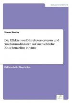Effekte von Dihydrotestosteron und Wachstumsfaktoren auf menschliche Knochenzellen in vitro