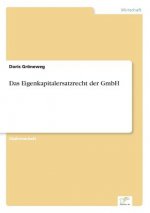 Eigenkapitalersatzrecht der GmbH