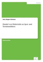 Handel von Elektrizitat an Spot- und Terminmarkten