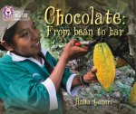 Chocolate: from Bean to Bar