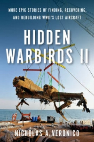 Hidden Warbirds II