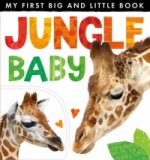 My First Big and Little Book: Jungle Baby