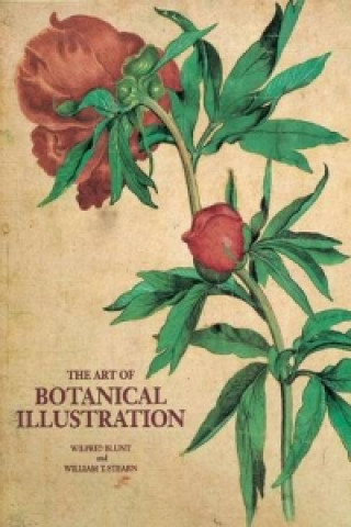 Art of Botanical Illustration