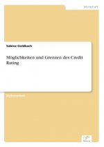 Moeglichkeiten und Grenzen des Credit Rating