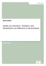 Strasse als Lebensort - Familien- und Heimflucht von Madchen in Deutschland