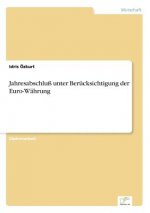 Jahresabschluss unter Berucksichtigung der Euro-Wahrung